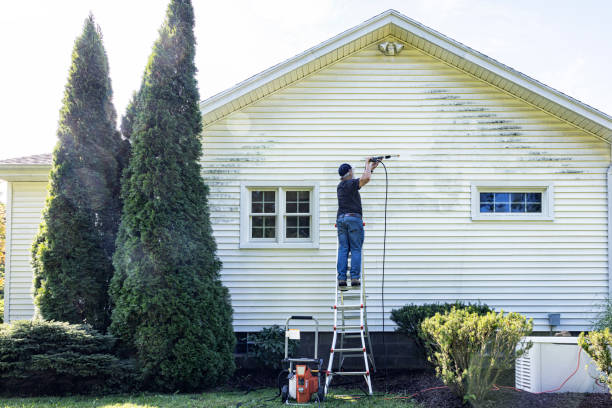 Best Sidewalk and Walkway Cleaning  in Shell Kno, MO